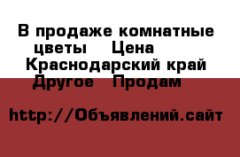 В продаже комнатные цветы. › Цена ­ 10 - Краснодарский край Другое » Продам   